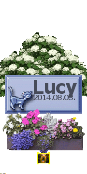 2014. augusztus 3.

Lucy cicat a testverkeivel egyutt nylonzacskoba csomagolva kidobtak egy kukaba. Testverei sorra meghaltak, Lucy ment el utoljara...

Nyugodj bekeben kiscica, jobb elet var odaat.



