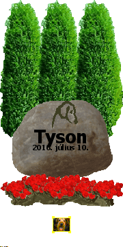 Tyson -. 2016-07-10 bejelentst kaptunk miszerint 