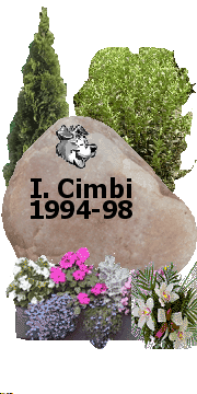 Cimbi, nagyon szeretnk tged! Sajnljuk, hogy j gazddnl meghaltl! Szerettnk tged! Szia!