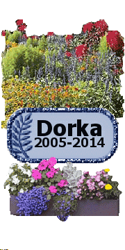 Nagyon szerettünk téged Dorka! A betegség ami megtámadott sajnos erősebb volt nálad. 9 évet töltöttünk együtt. Kívánok neked nagyon szép örök álmokat! <3