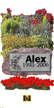 Mindig szeretni fogunk Alex!