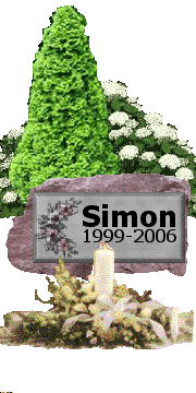 Drága Simonom!

Még nincs 1 órája hogy meghaltál, már hiányzol mindannyiunknak!!!!!
Nagyon fáj, hogy el kellett veszítenünk téged...remélem még találkozunk.
Szeretlek!