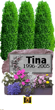Ch. Yaki-Tori Tina Turner emlkre, aki szmomra a legszebb perzsa cicalny volt. Szpsged s kedvessged nem felejtjk! 