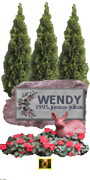 Drága Wendy!

Bár csak 1 hetet tölthettél velünk, nagyon hiányzol nekünk! 
Szerettelek volna jobban megismerni ... de a betegség közbeszólt!

Nyugodj békében!