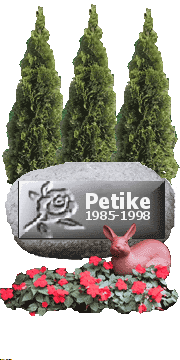 A kis Petike most már szabadon röpül, de emléke örökké velünk marad!