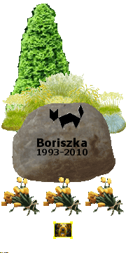 Soha nem felejtünk Boriszka! Az általad alapított Nemzeti Gyogyó, ahol követőid tanulták a macskamesterséget továbbviszi hírnevedet! 
Szeretünk! 
