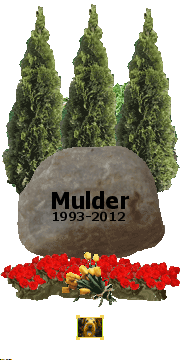 Mulder Emlékére.
Míg élünk nem feledünk!