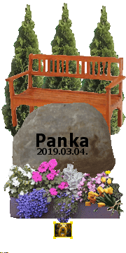 Drága Panka, nagyon szeretünk és mindig szeretni is fogunk! Nagyon hiányzol nekünk! Vigyázzatok egymásra Blekivel!