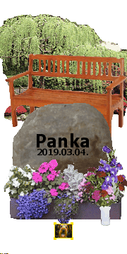 Drága Panka, nagyon szeretünk és mindig szeretni is fogunk! Nagyon hiányzol nekünk! Vigyázzatok egymásra Blekivel!