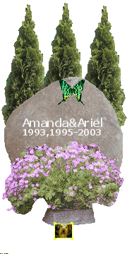 Foltostappancs Amanda 1993.V.17-
Tisza Gyémánt Ariel 1995.VII.12-
                      -2003.V.25

