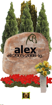 

alex soha nem felejtünk