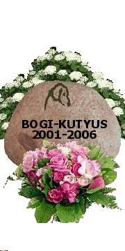 Bogi-kutyus egy des Pekingi-palotakutya volt.
Nagyon szerettelek s 
soha nem feledlek.
