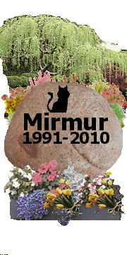 Szeretünk Mirmur :,(